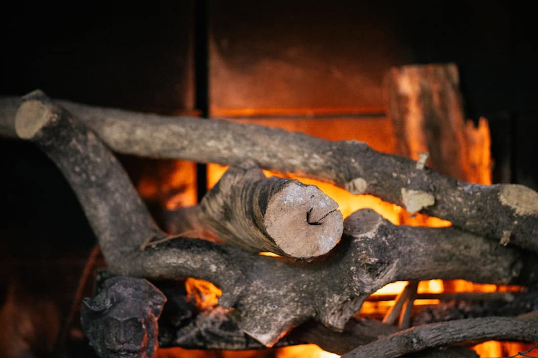 Wood-burning chimney sweep and animal removal on a wooded Lithia acreage home, FL