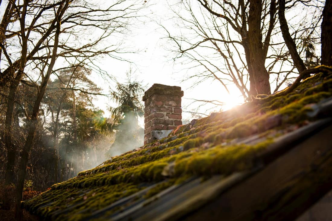 Professional chimney technician Tampa