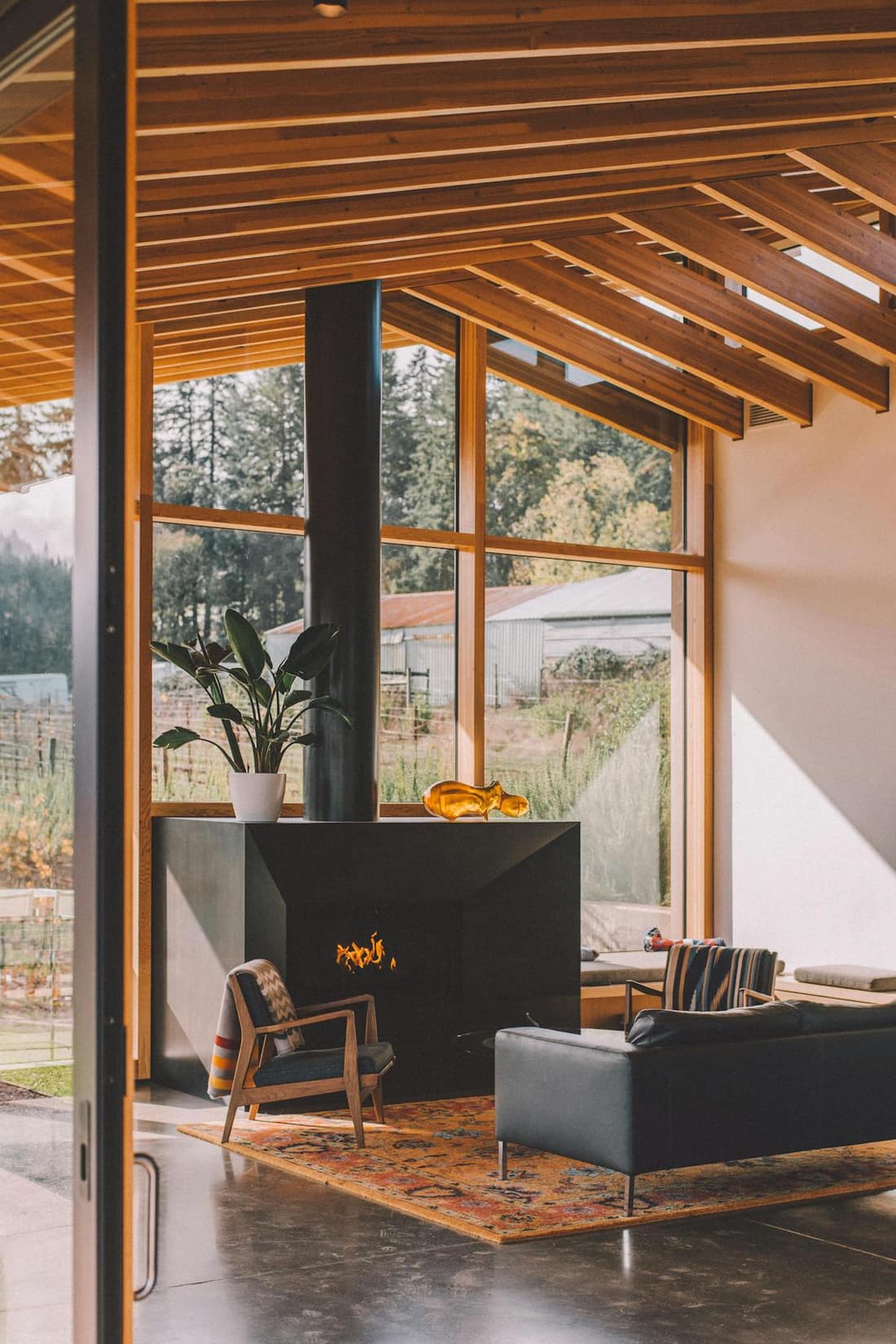 Chimney and fireplace service in Wesley Chapel, FL