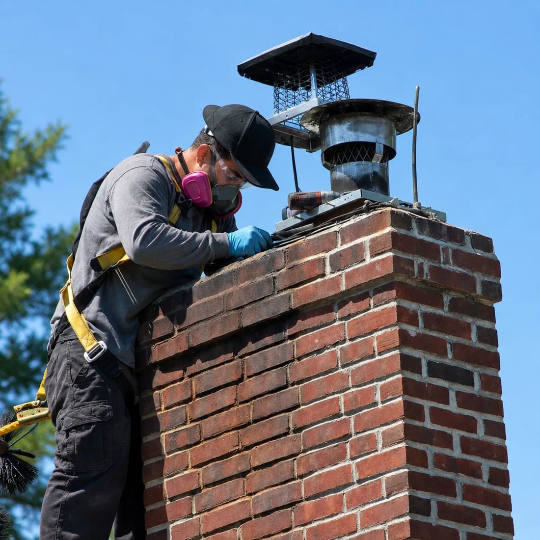 Chimney Animal Removal Tampa FL